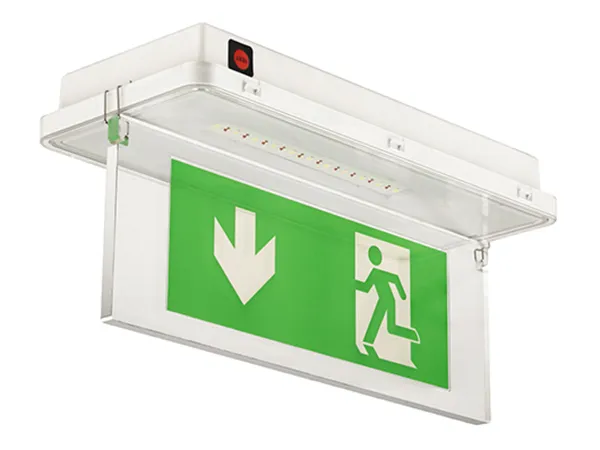 LE515-11 EXIT IP65 Waterproof LED Emergency Exit Sign (11 SMD3528 LEDs)
