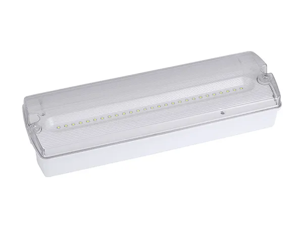 AD500 IP65 Waterproof LED Emergency Bulkhead