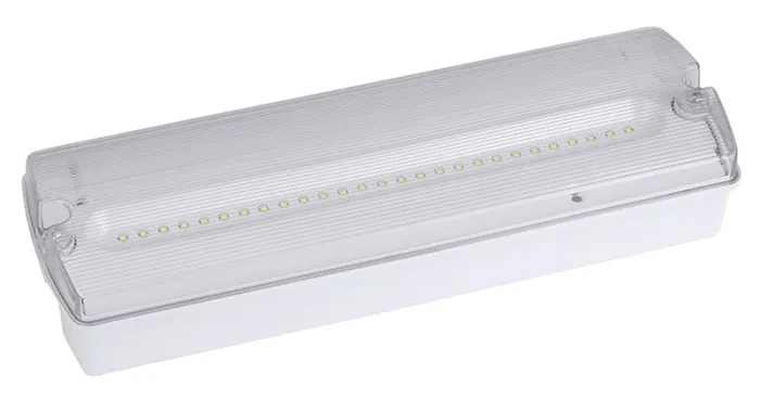 AD500 IP65 Waterproof LED Emergency Bulkhead