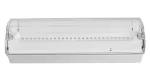 AD500 IP65 Waterproof LED Emergency Bulkhead