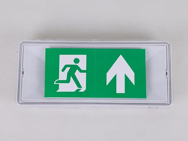 Bulkhead Emergency Light
